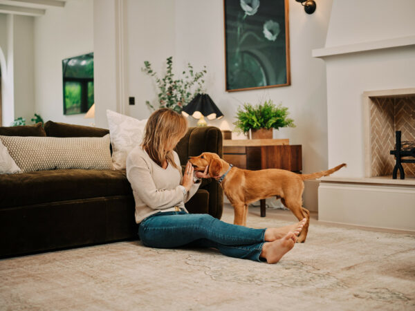 Kirman Rugs: Why They’re Ideal for Large Rooms