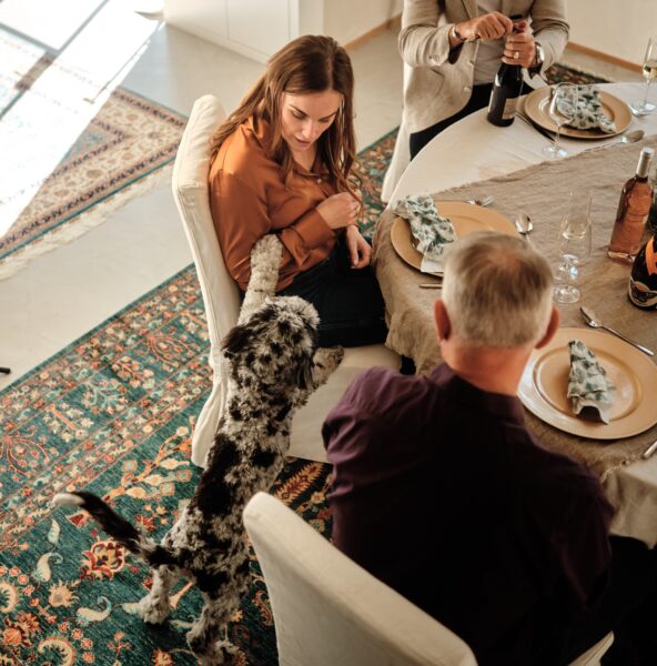 How a Large Persian Carpet Transforms Your Entertaining Spaces